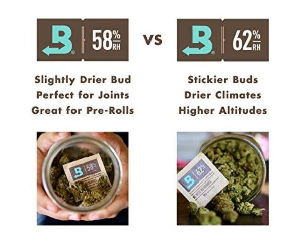 boveda infographic