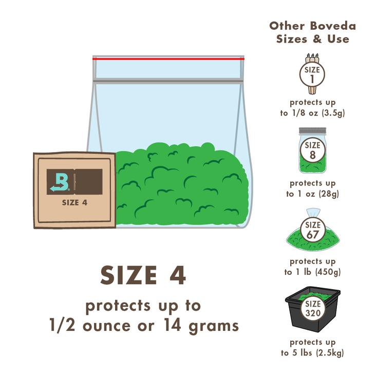 size 4 infographic
