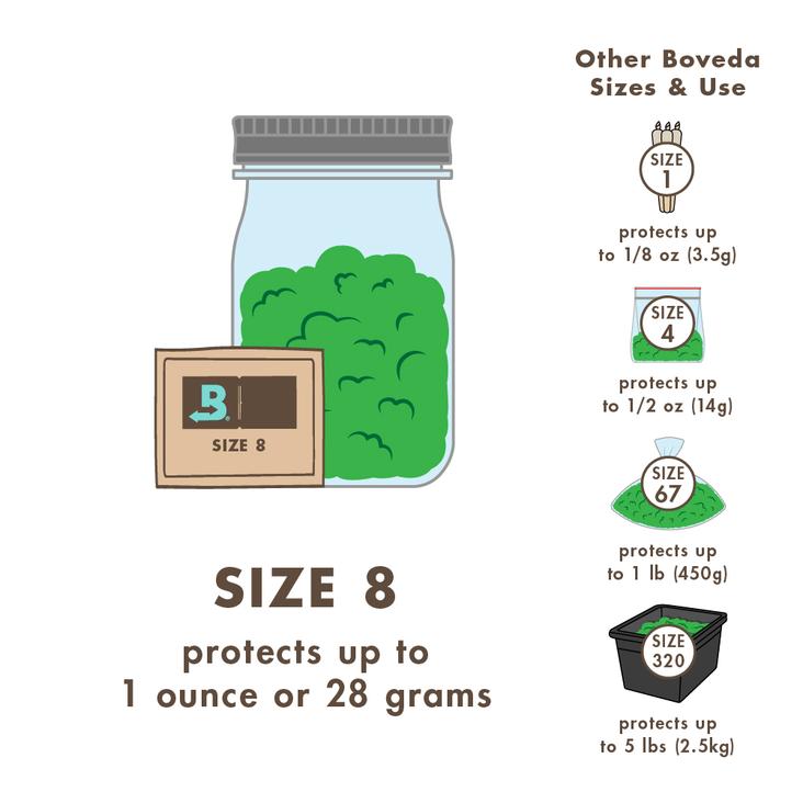 size 8 infographic